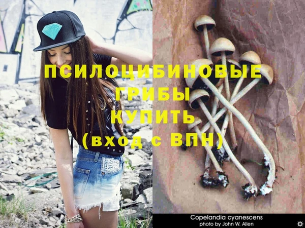 кокс Заводоуковск