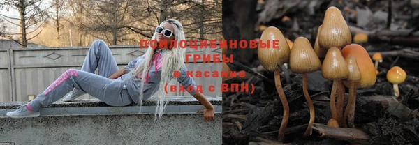 ПСИЛОЦИБИНОВЫЕ ГРИБЫ Заволжск