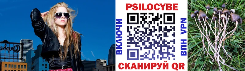 Купить закладки  Ивангород  Псилоцибиновые грибы прущие грибы 